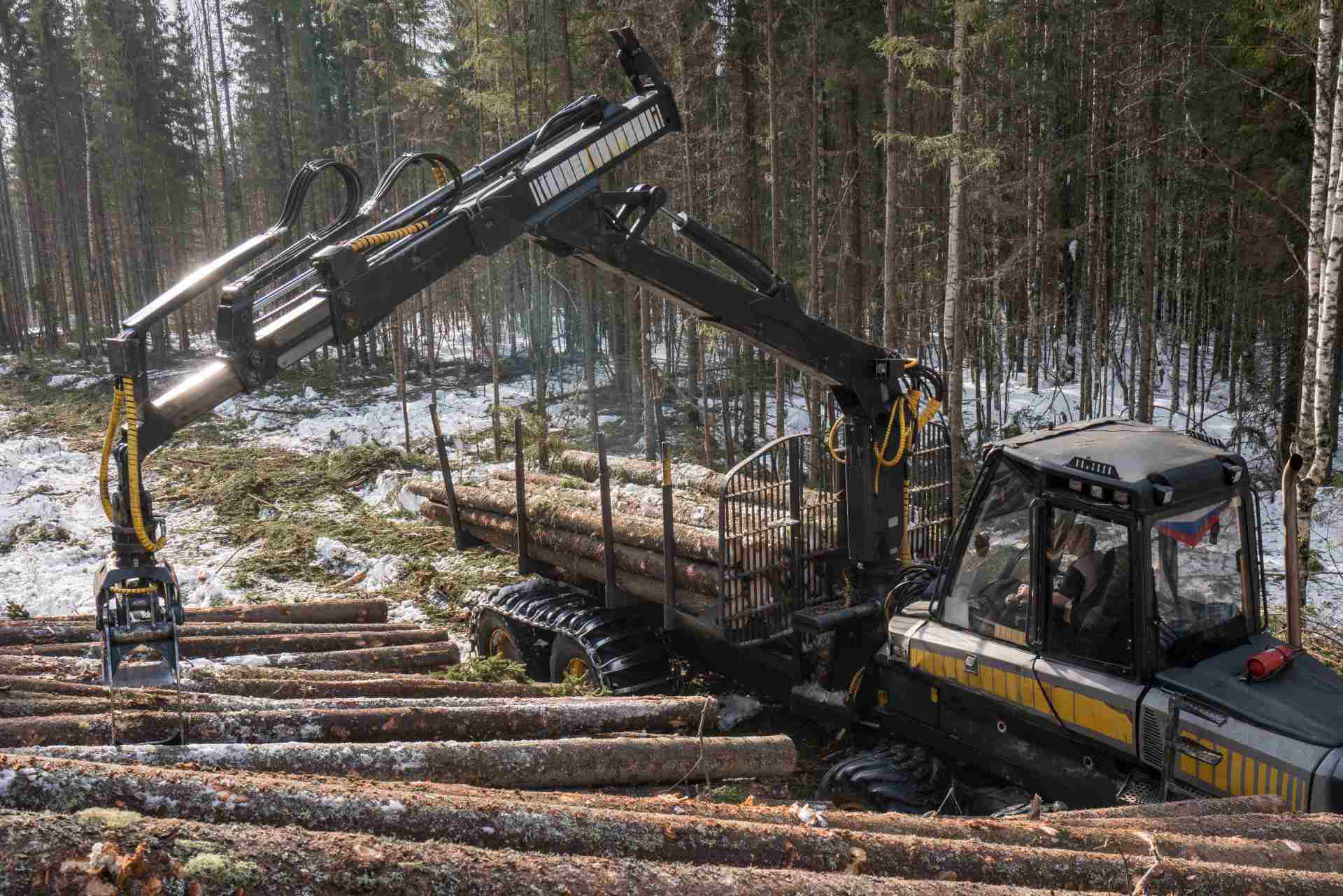 Wildfire support crews working in remote forest environment